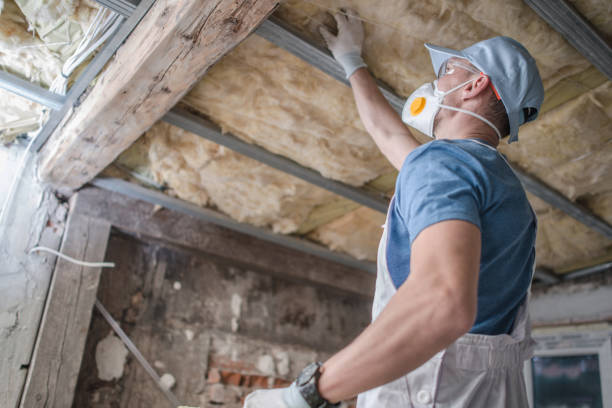 Best Energy Efficiency Insulation in Kingstown, MD